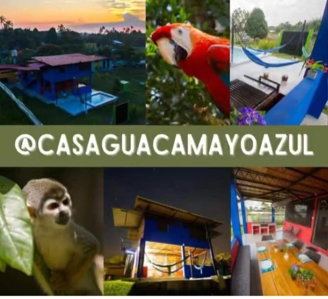 Guacamayo Azul Villa Iquitos Luaran gambar