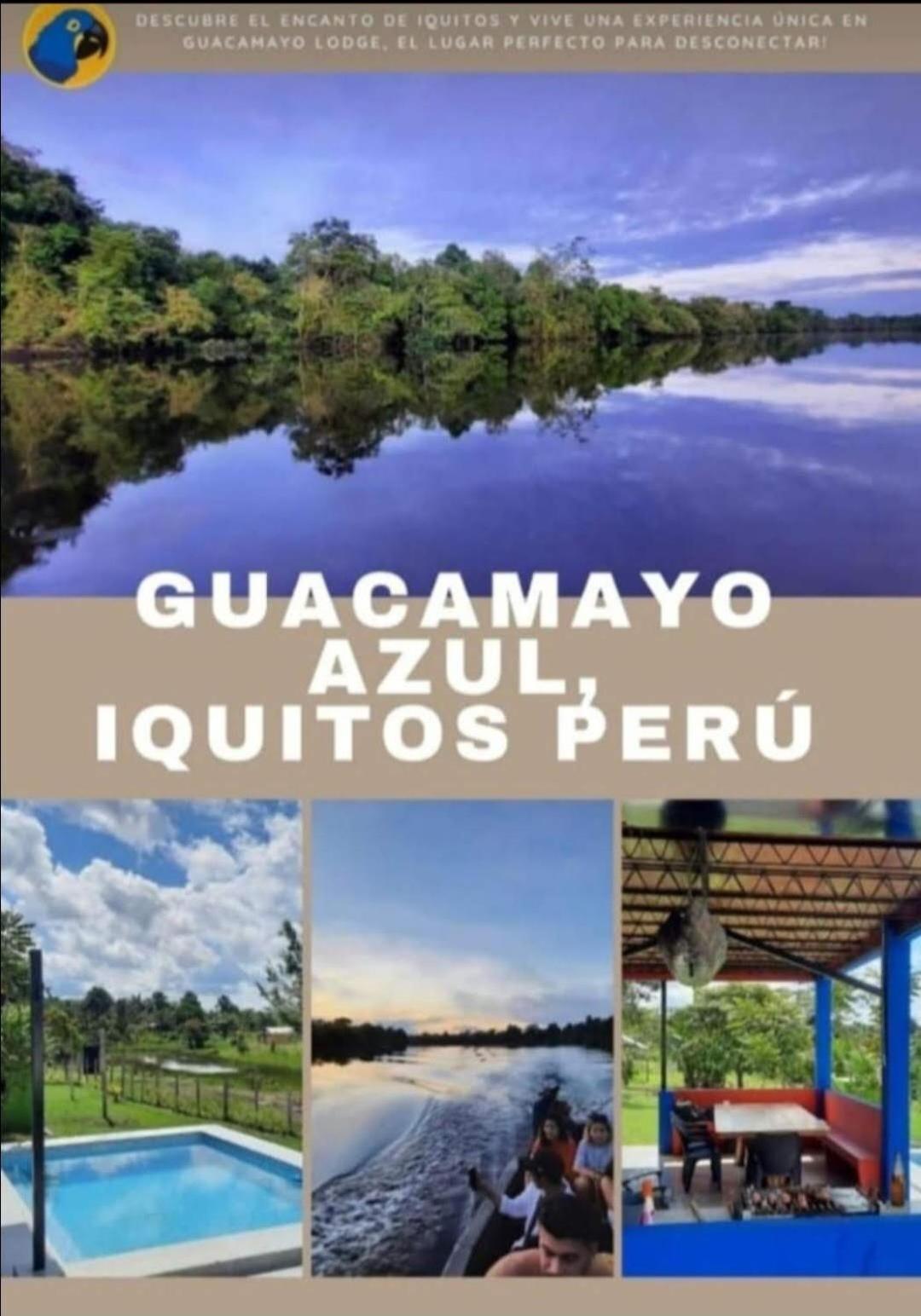 Guacamayo Azul Villa Iquitos Luaran gambar